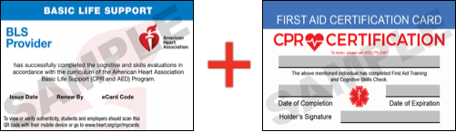 Sample American Heart Association AHA BLS CPR Card Certification and First Aid Certification Card from CPR Certification Sarasota