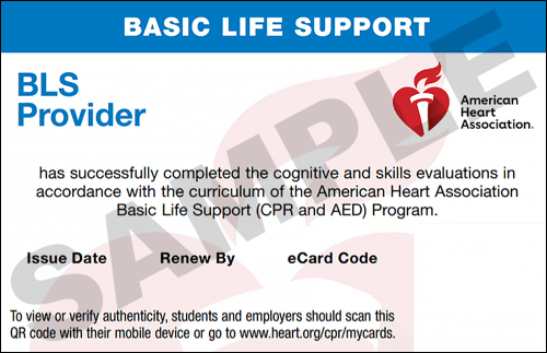 Sample American Heart Association AHA BLS CPR Card Certification from CPR Certification Sarasota